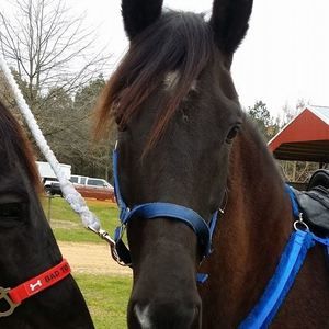 Meet your Posher, Vickie